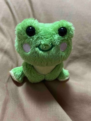 「ぬいぐるみに理解のある恋人は大切にしなさい」って保護者が言ってた！！