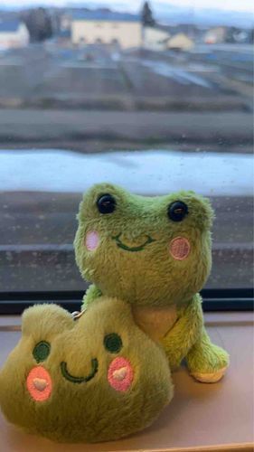 俺のオフィシャルグッズかな？と思うくらいそっくりな子に会ったよ