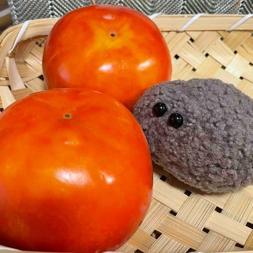 柿！これは果物の方だぜ！