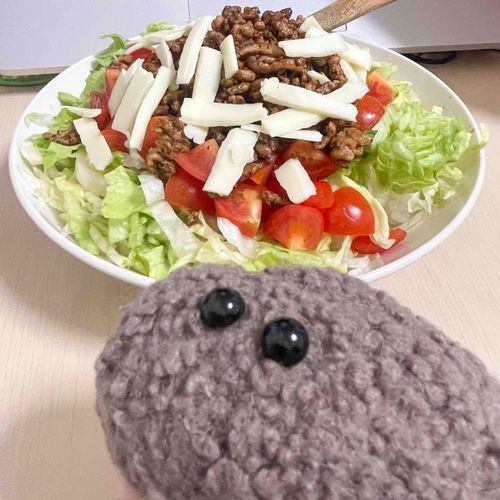 いつか、この山を 登りたいぜ