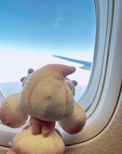 ぴゅーん