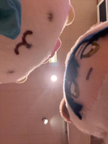 おともだちとぱしゃ⟡