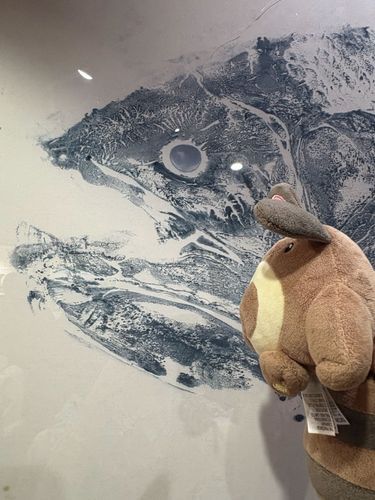 シーラカンスと大きさ比べ🐟