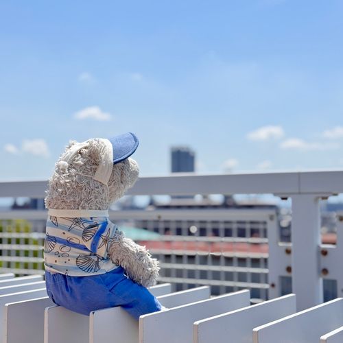どこ いくの かな
ここ は どこ…？