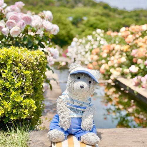 バラえん に きました🌹