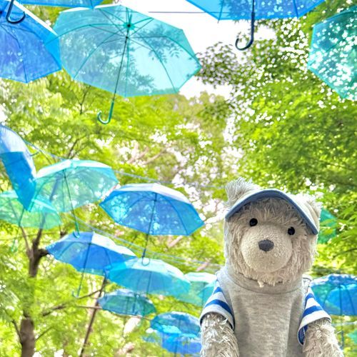 かさ が たくさん うかんでて おそら みたい だね☔️