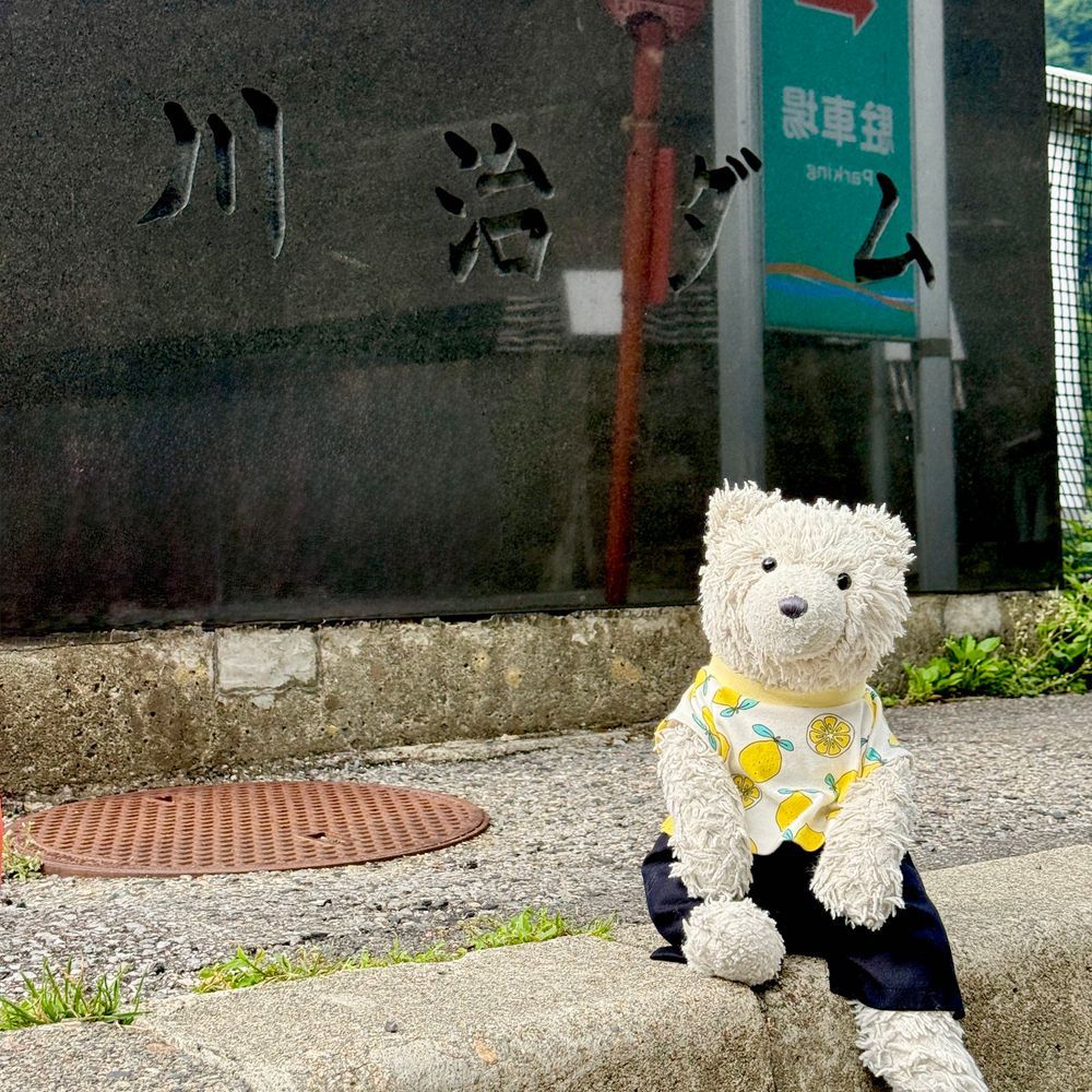 ホテル に いく とちゅう で ダム に よりみち!
ふわもこ で ダムずき の おともだち が いて きょうみ が でてきました🐻❄️🐾
ちかく で みると すっごく おおきくて たかくて びっくりした よ😳
した の ほう に おみず も ながれてた✨