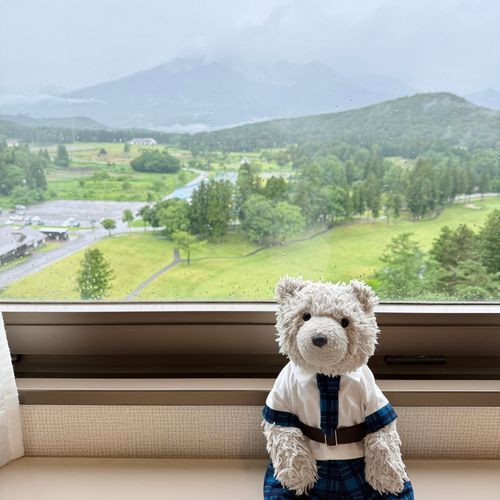 きょう の ホテル は にいがたけん！
にほんひゃくめいさん の やま が みえる よっ⛰️