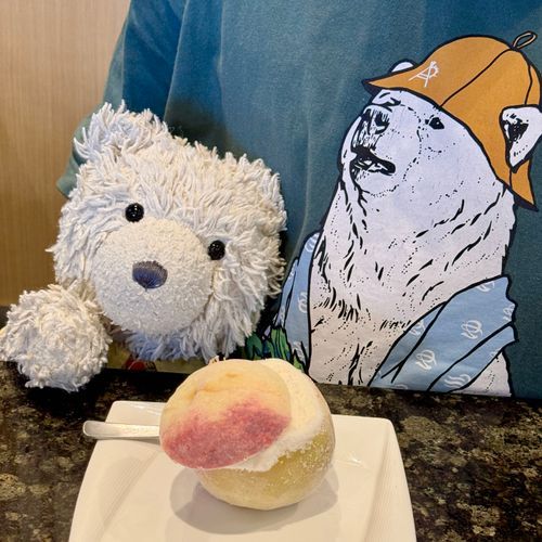 まるごと もも アイス も おいし🍨🍑