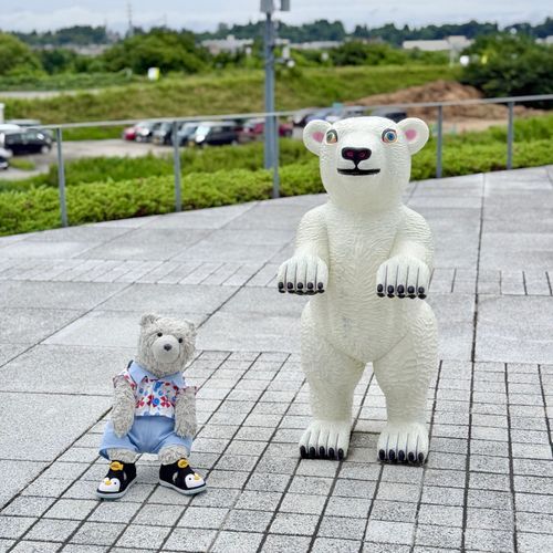 おそと に こぐまさん も いました🐻‍❄️
