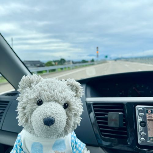 うしろ に たてやまれんぽう って いうのが あるらしい⛰️