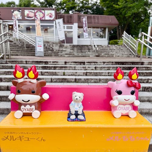 メルギューくん と メルモモさん🐂
もう おうち かえるらしい😞