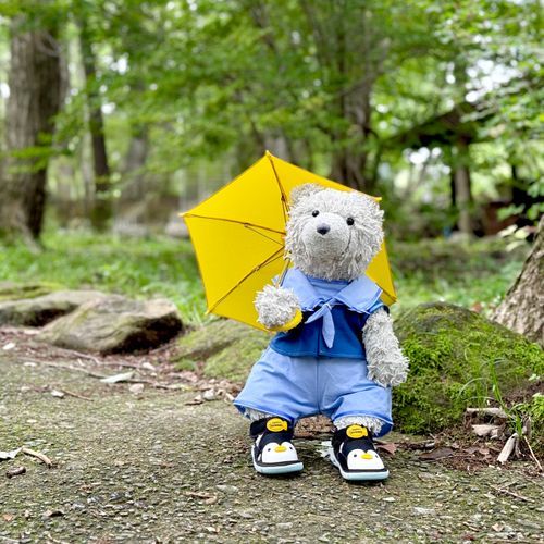 あめ だね ☔️
アーサーよう の かさ かって もらった よっ✨