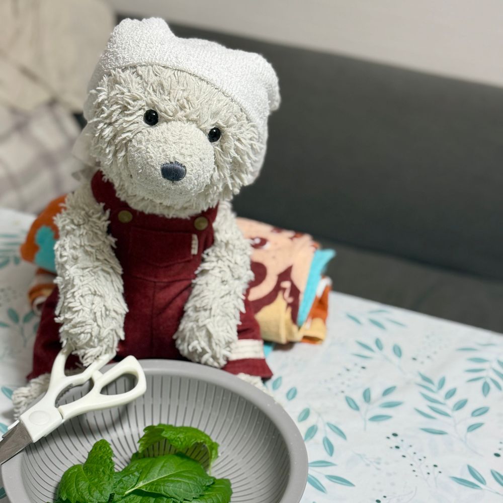 はる に たねまき した おおば🌱 が せいちょう したよっ
さっそく しゅうかく✨