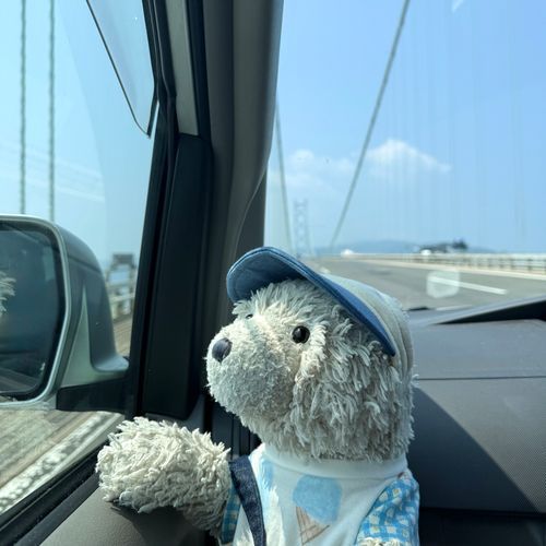 おっきい はし わたり ます🚗