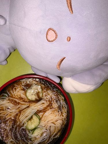 パスカル、梅もずくそうめん来たよ
起きて
