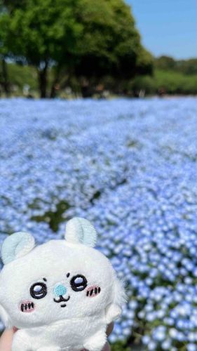 モモンガとネモフィラ⟡꙳
モモンガにフォーカスしたらネモフィラぼやけちゃったよᐡ´т ‧̫ т ᐡ