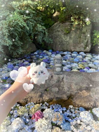 モモンガと水に浮かぶ紫陽花を見に行ったよദി- ̫ -)꙳⟡