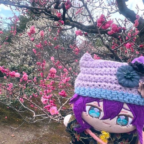 うめ︎です✿