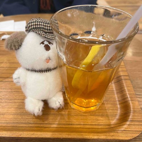 ティーレモネードって珍しいよね！レモンティーよりレモン味が強くてスッキリしてたー！また飲みたいなー！