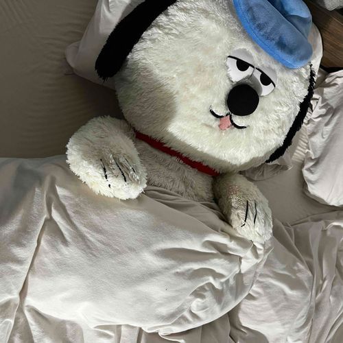 昨日寝る時におやすみ💤って投稿しようと思って忘れてたよ〜
お布団気持ちいいな〜