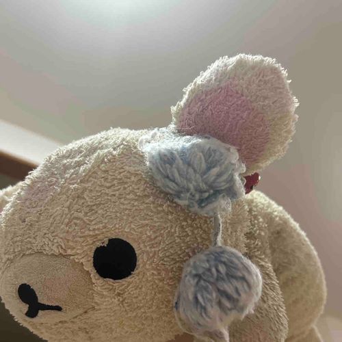 ぴよんぴよんと結婚して、いちごがすきで、あぶらっこいものでも胃もたれしないコリラックマです。ピンクリズモ、さくらのこりすと仲良いです。おこずかいくれるにんげんいますか？