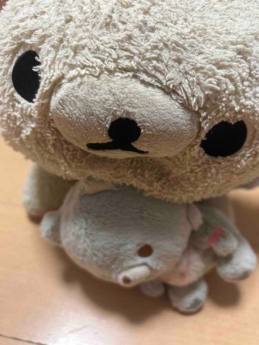 おやすみなさい
きょうは、あめをくれた子としゃしんをとりました。