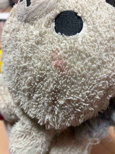 赤いチークをつけなおしてもらいました。青森に行って、りんごをたべました。美味しかったです。でも、りんごの色わ、緑色で意外でした。