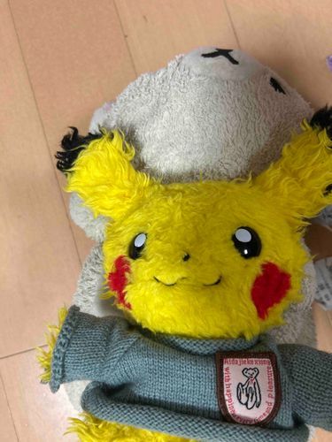 コリラックマの上で寝るカピ。
コリラックマいびきうるさい。
コリラックマお腹冷たい。
