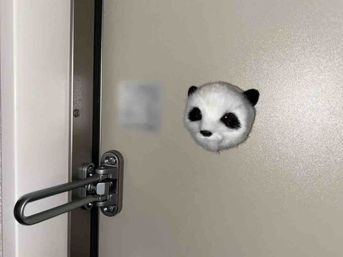 🚪🐼