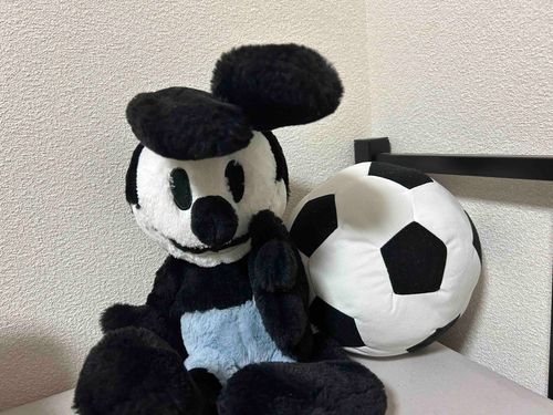 🐰⚽️