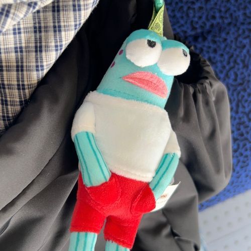 🐟