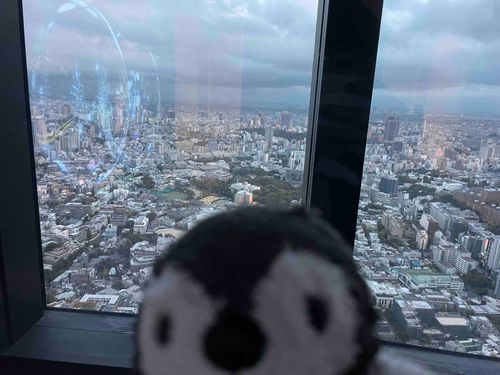 森美術館にきたよ〜…おやや？　緑はどこかな。もうちょっと探してみよう🔍🐧