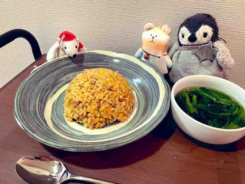 しらたまくっきんぐの時間だよ。今日はちゃーはん！丸くてきれいに出来たよ〜。みんなも食べる？🐧🍚