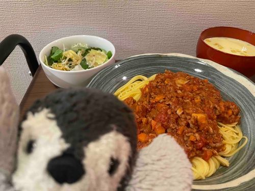 しらたまくっきんぐの時間だよ！
今日は…ミートスパゲッティ！！ソースから作ったからお肉いっぱいだよ〜。ささ、たくさんめしあがれ〜🐧🍝
