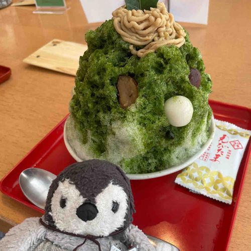 じゃじゃーん！！夏はやっぱりかき氷ー！！栗もたくさんはいってててすっごく美味しかったよ〜🐧🍧