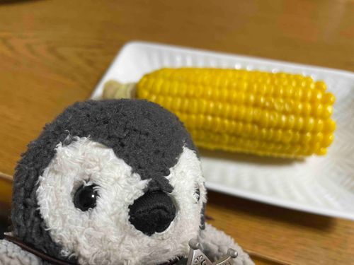 ゆでとうもろこしだよ！一列ずつ食べるぞ〜🌽🐧