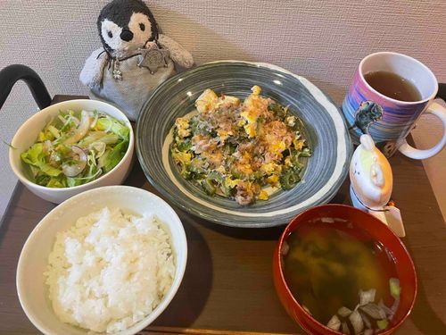しらたまくっきんぐの時間だよ。
今日はゴーヤチャンプルー！白だしで味付けして和風なんだよ〜！🐧🐻‍❄️