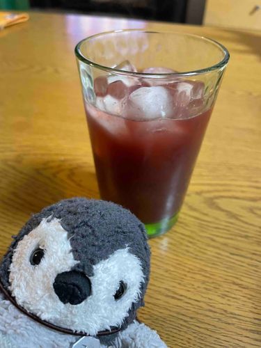おうちで採れたブドウをジュースにしたよ。果汁100%でとっても甘いんだよ〜🥤🐧