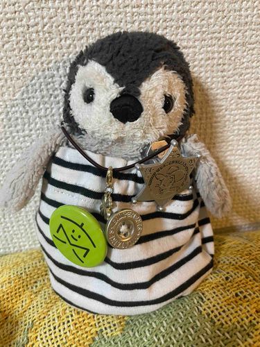 みて！　新しい服！
ボーダー柄でファッションリーダーにのぼりつめるよ〜！