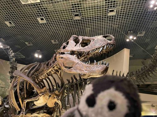 恐竜さんと友だちになったよ。
クリスマスお家においでね〜って誘っておいたんだ🐧🦖