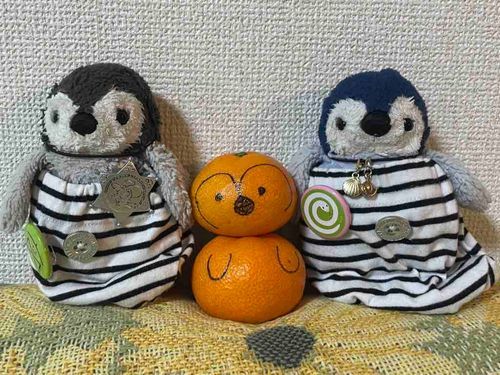 ぺんぎんの忍術…かげぶんしん…🐧🐧🐧
みやぶれるかな〜？
