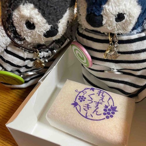 こ、これは！南極にない味！🧊
藤むらのレーズンサンドを食べたよ。甘すぎなくてとってもおいしかったの！みんなもぜひね〜🐧🐧