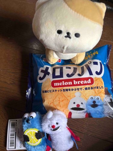 あるじが買ってきた！