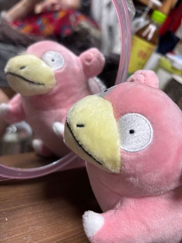 我が家に新しいお友達が来たん
ﾔｰﾝ