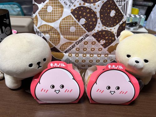 主が20分並んで買ってきたらしい
