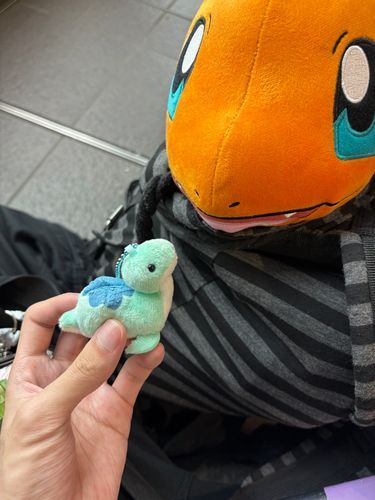 やせいの ヒトカゲに であった
