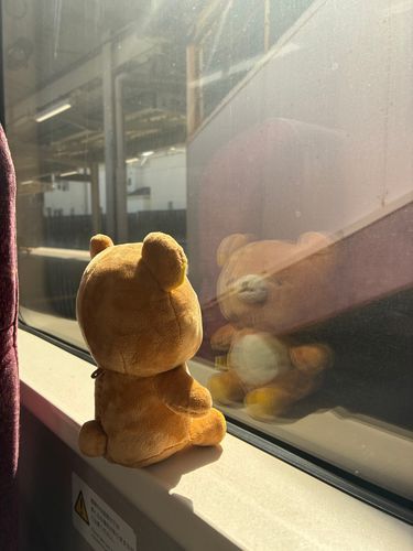 でんしゃでおでかけ