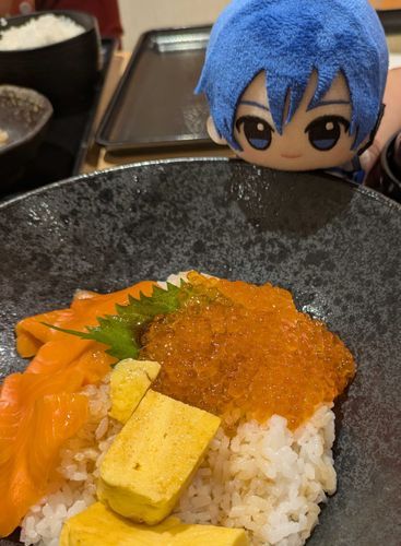 ますたー と おんせん いったよ
これは さーもん の おやこどん
おいしそうだね
このあと は ちゃんと ろっかー で おるすばん してたよ えらいでしょ