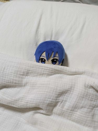 おやすみ